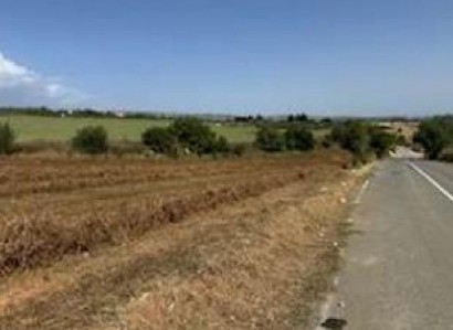 Thrinia, Paphos Agricultural Field For Sale | WW31151