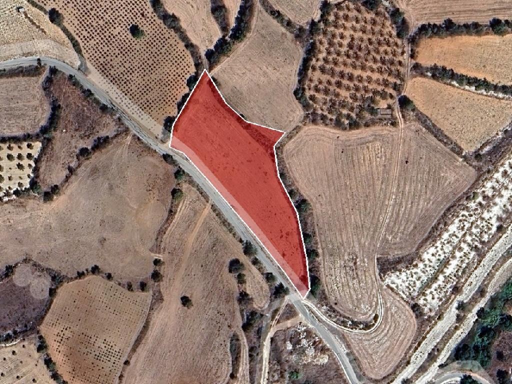 Field - Thrinia, Paphos