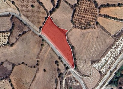 Thrinia, Paphos Agricultural Field For Sale | WW31151