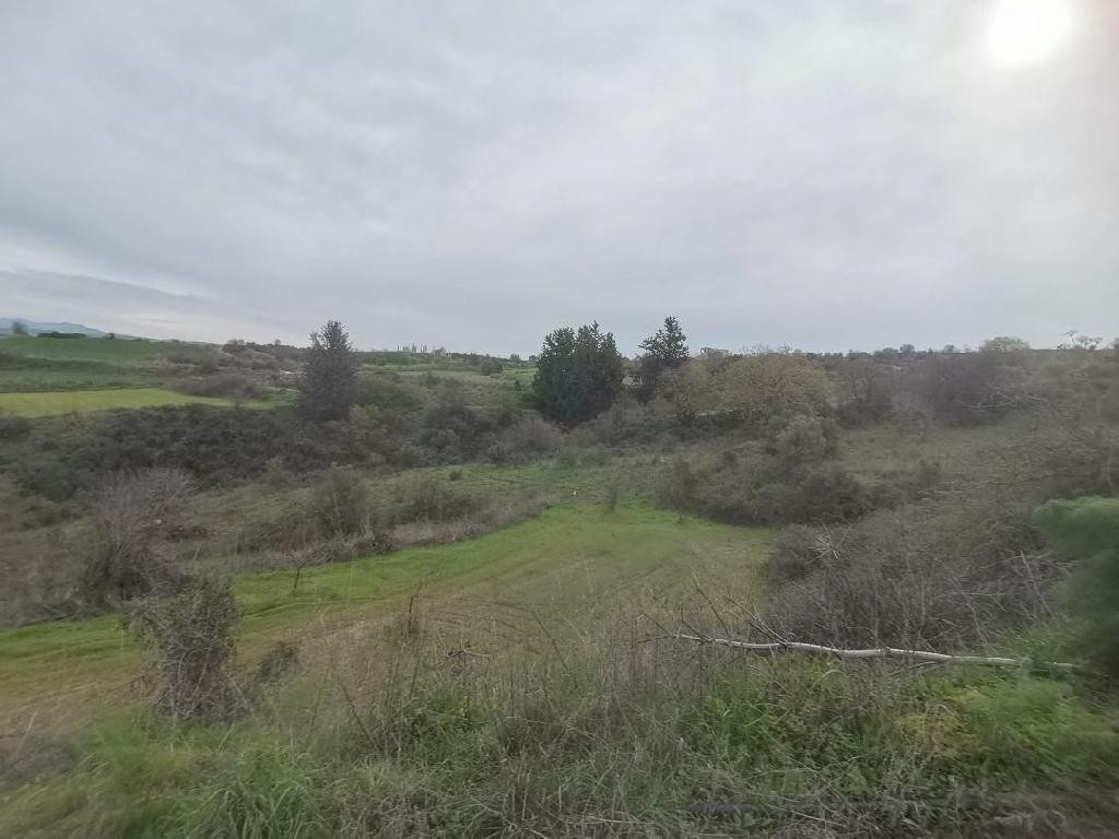 Field - Theletra, Paphos