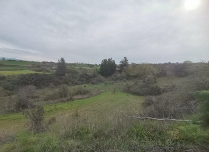 Theletra, Paphos Agricultural Field For Sale | WW31152