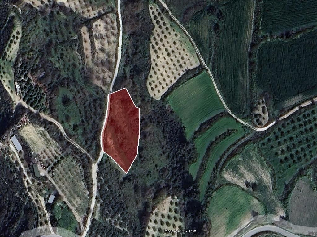 Field - Theletra, Paphos