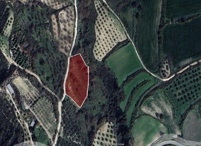 Theletra, Paphos Agricultural Field For Sale | WW31152