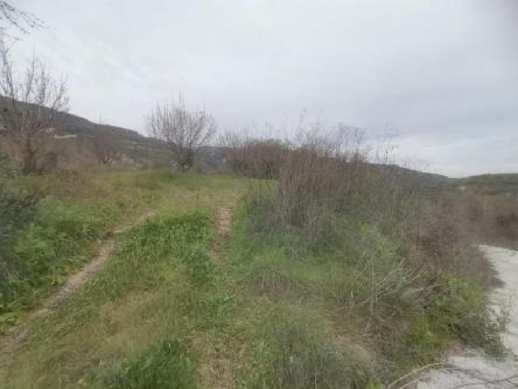 Theletra, Paphos Agricultural Field For Sale | WW31153