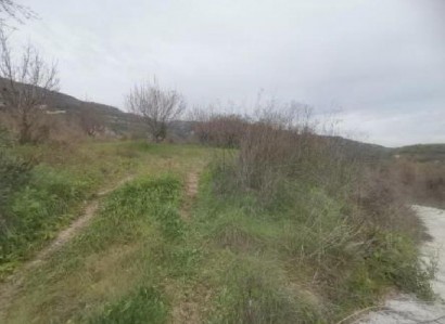 Theletra, Paphos Agricultural Field For Sale | WW31153