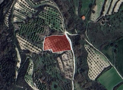 Theletra, Paphos Agricultural Field For Sale | WW31153