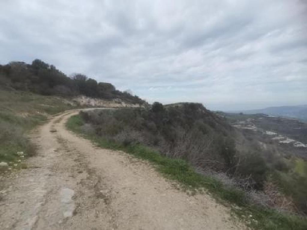 Theletra, Paphos Agricultural Field For Sale | WW31154