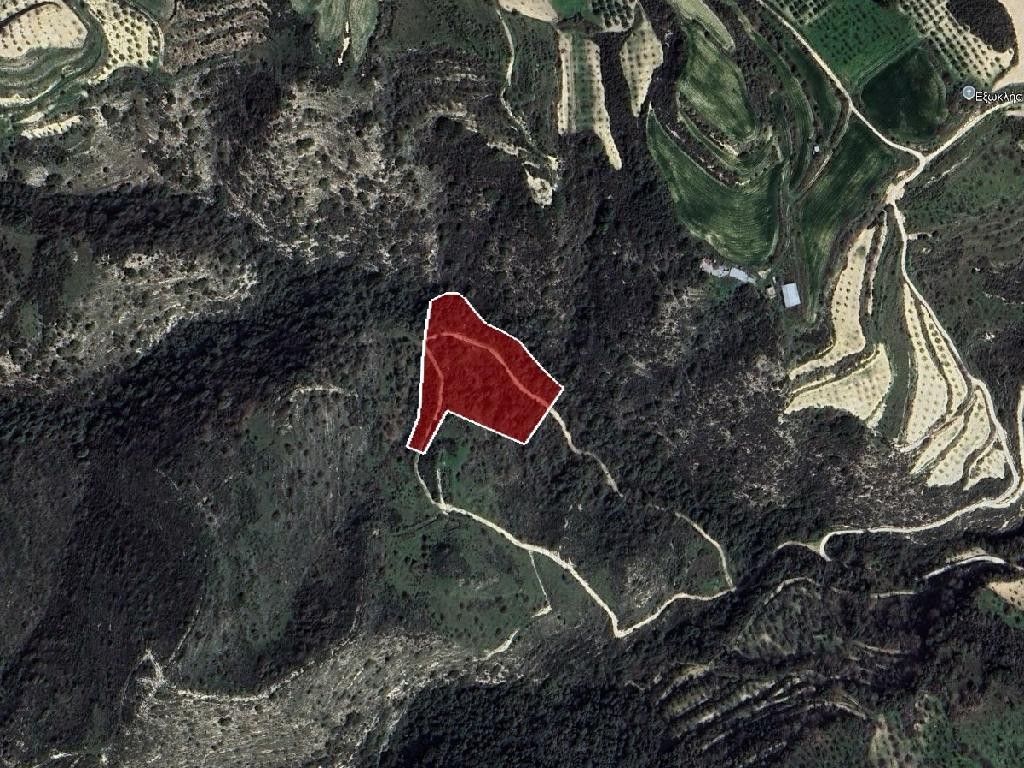 Field - Theletra, Paphos