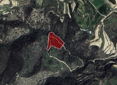 Theletra, Paphos Agricultural Field For Sale | WW31154