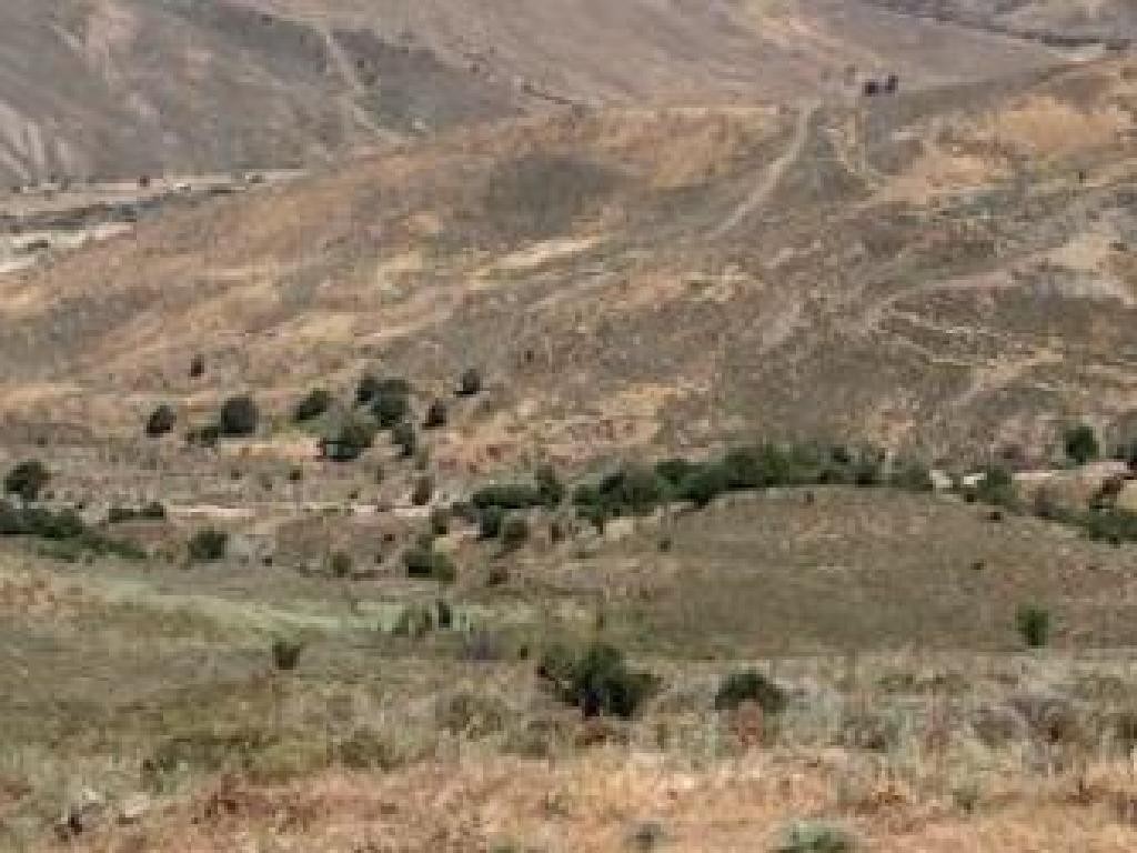 Salamiou, Paphos Agricultural Field For Sale | WW31155