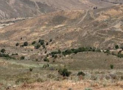 Salamiou, Paphos Agricultural Field For Sale | WW31155