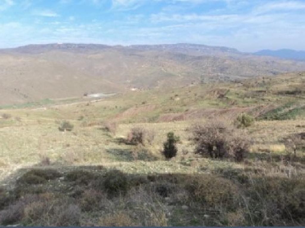 Field - Salamiou, Paphos