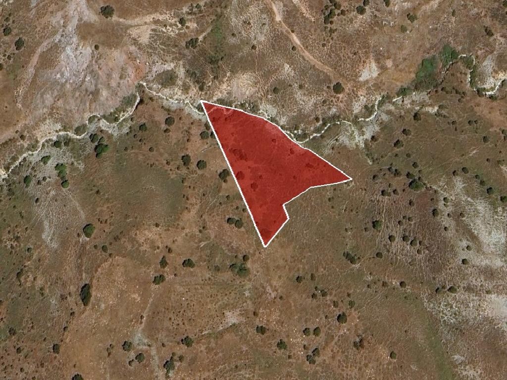 Field - Salamiou, Paphos