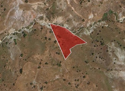 Salamiou, Paphos Agricultural Field For Sale | WW31155