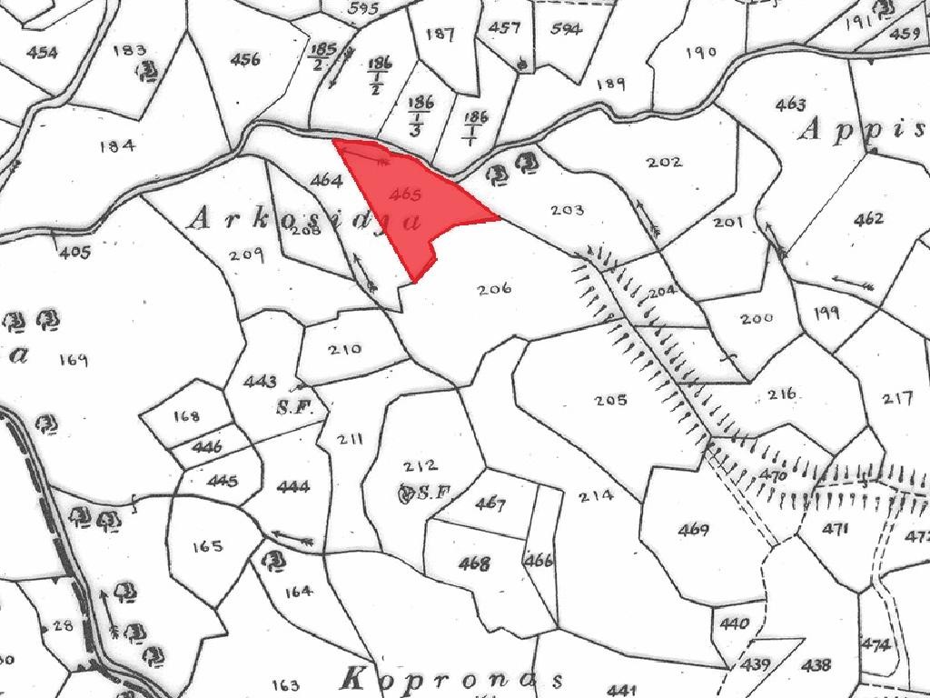 Field - Salamiou, Paphos