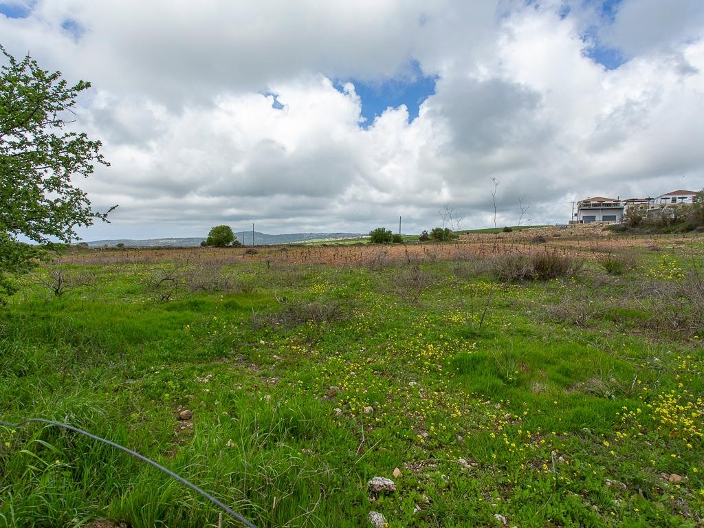 Kathikas, Paphos Touristic Field For Sale | WW31160