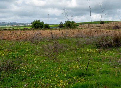 Kathikas, Paphos Touristic Field For Sale | WW31160