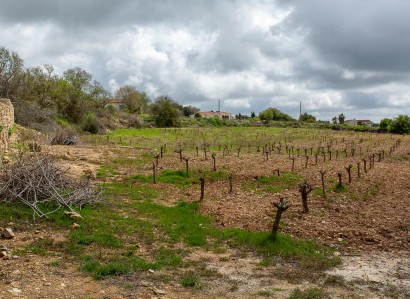 Kathikas, Paphos Touristic Field For Sale | WW31160