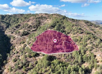 Gerakies, Nicosia Agricultural Field For Sale | WW31162