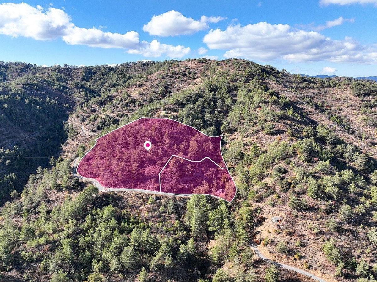 Two Adjoining Agricultural Fields in Gerakies, Nicosia