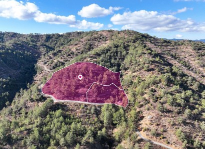 Gerakies, Nicosia Agricultural Field For Sale | WW31162