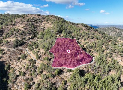 Gerakies, Nicosia Agricultural Field For Sale | WW31162