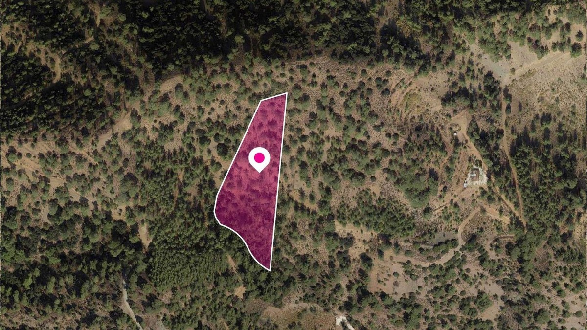 Gerakies, Nicosia Agricultural Field For Sale | WW31164