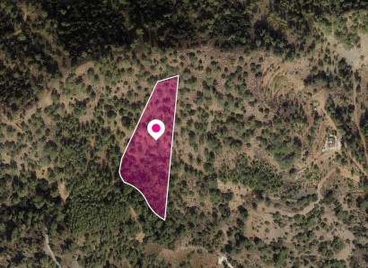 Gerakies, Nicosia Agricultural Field For Sale | WW31164