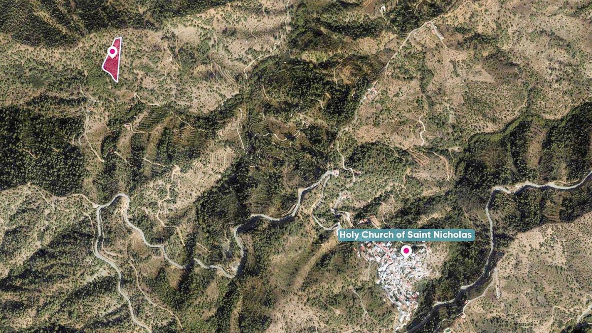 Field in Gerakies, Nicosia