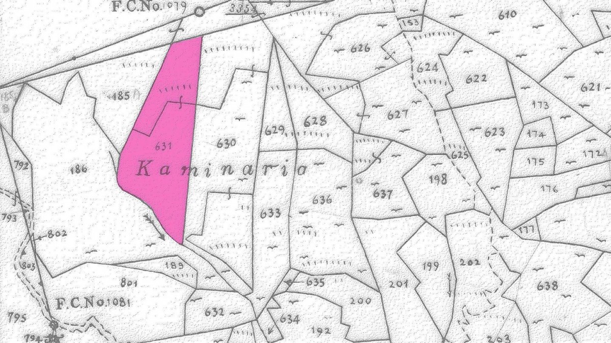 Field in Gerakies, Nicosia