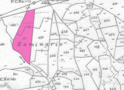 Gerakies, Nicosia Agricultural Field For Sale | WW31164