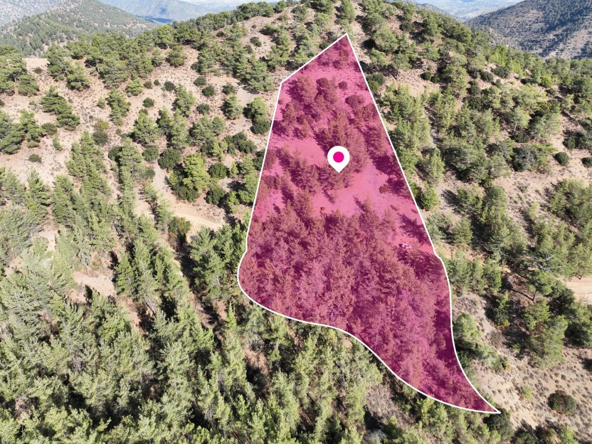 Field in Gerakies, Nicosia