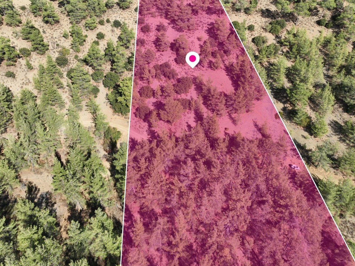 Field in Gerakies, Nicosia