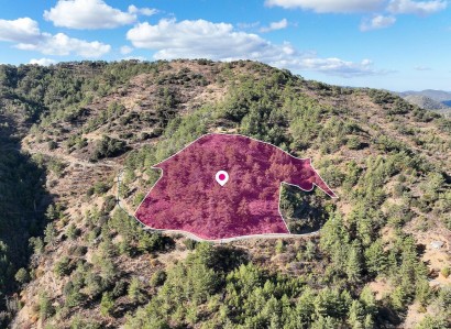 Gerakies, Nicosia Agricultural Field For Sale | WW31170