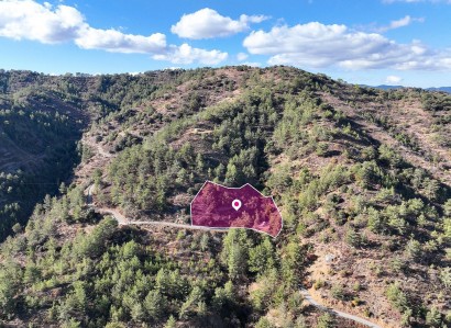 Gerakies, Nicosia Agricultural Field For Sale | WW31171