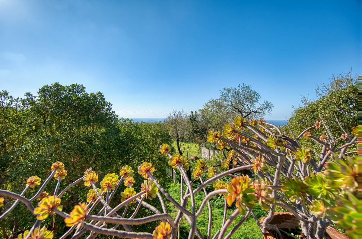 Bungalow For Sale  in  Mesogi