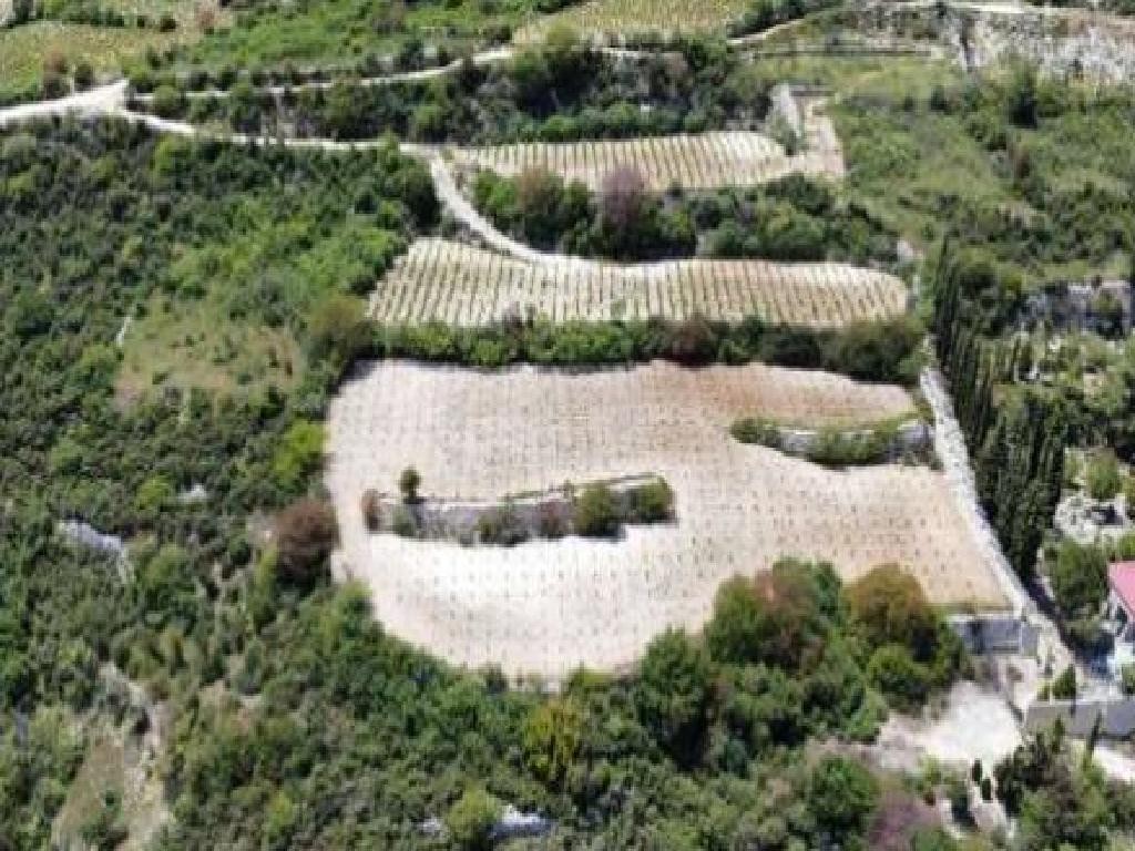 Koilani, Limassol Agricultural Field For Sale | WW31175