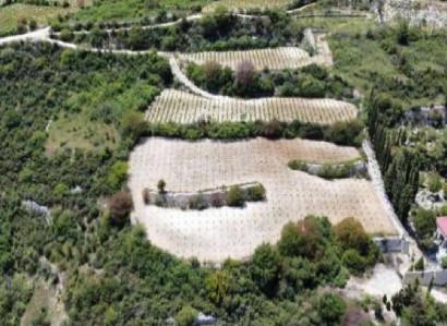 Koilani, Limassol Agricultural Field For Sale | WW31175