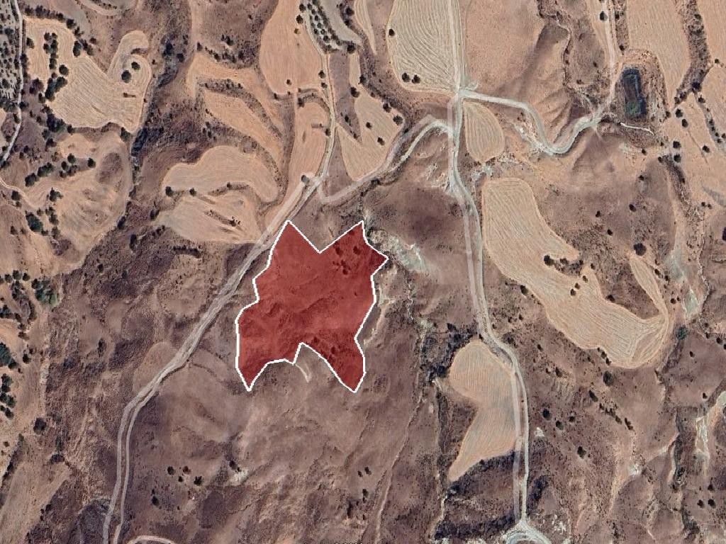 Field - Lasa, Paphos