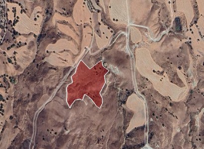 Lasa, Paphos Agricultural Field For Sale | WW31183