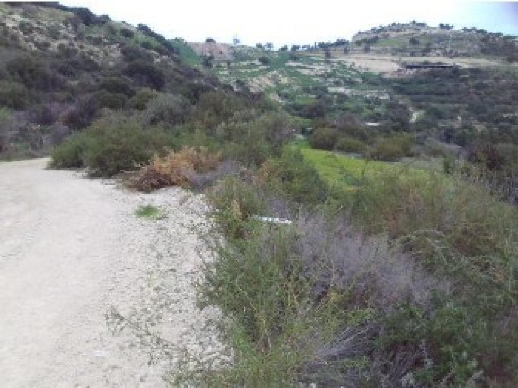 Drouseia, Paphos Agricultural Field For Sale | WW31185