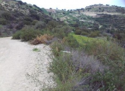 Drouseia, Paphos Agricultural Field For Sale | WW31185