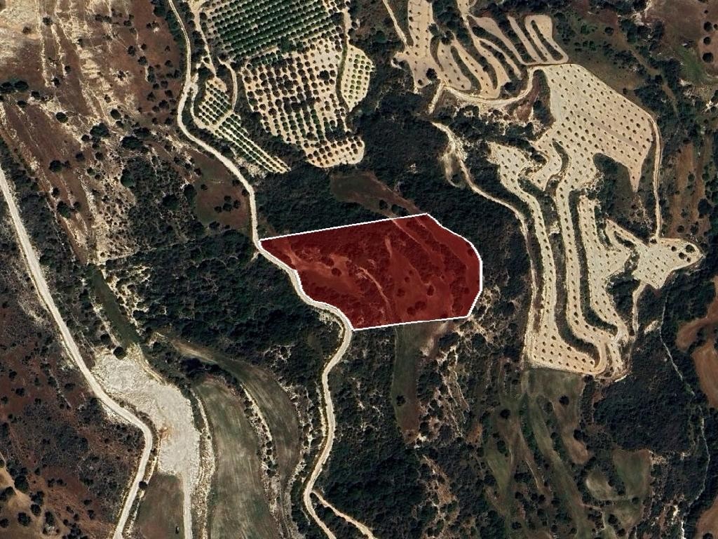 Field - Drouseia, Paphos