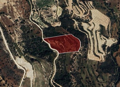 Drouseia, Paphos Agricultural Field For Sale | WW31185