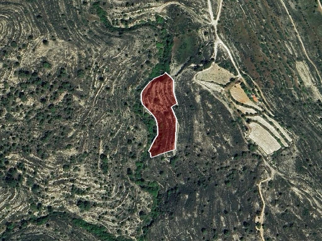 Field - Silikou, Limassol