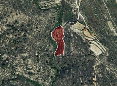 Silikou, Limassol Agricultural Field For Sale | WW31190