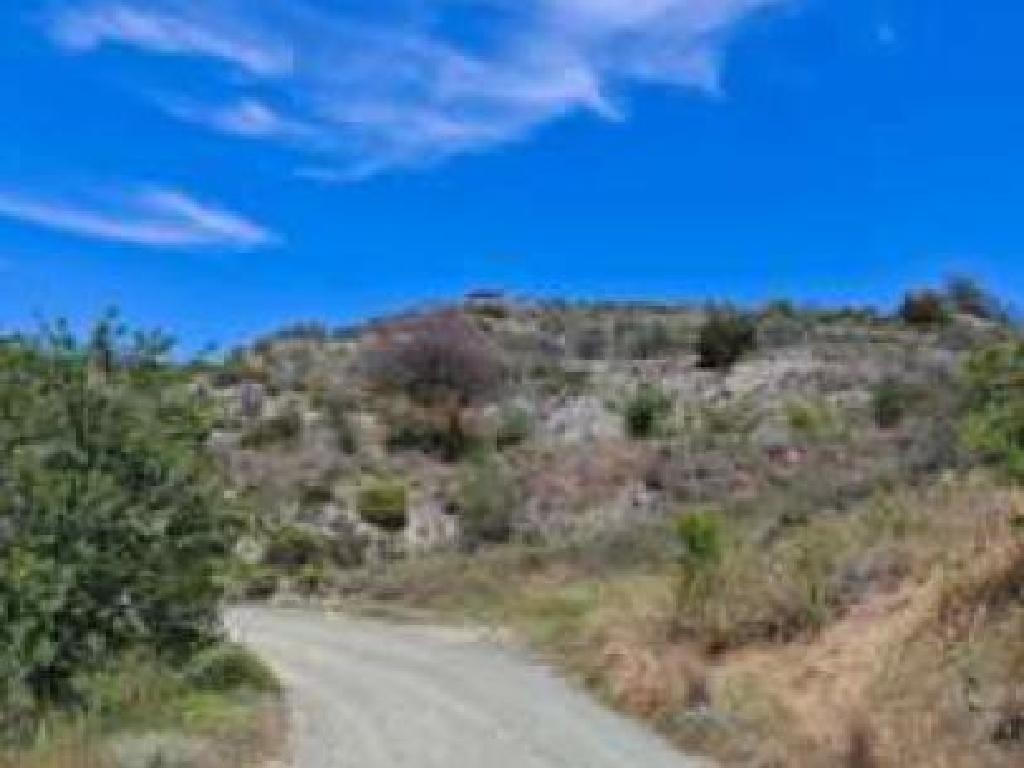 Pelendri, Limassol Agricultural Field For Sale | WW31191