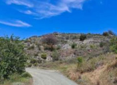 Pelendri, Limassol Agricultural Field For Sale | WW31191