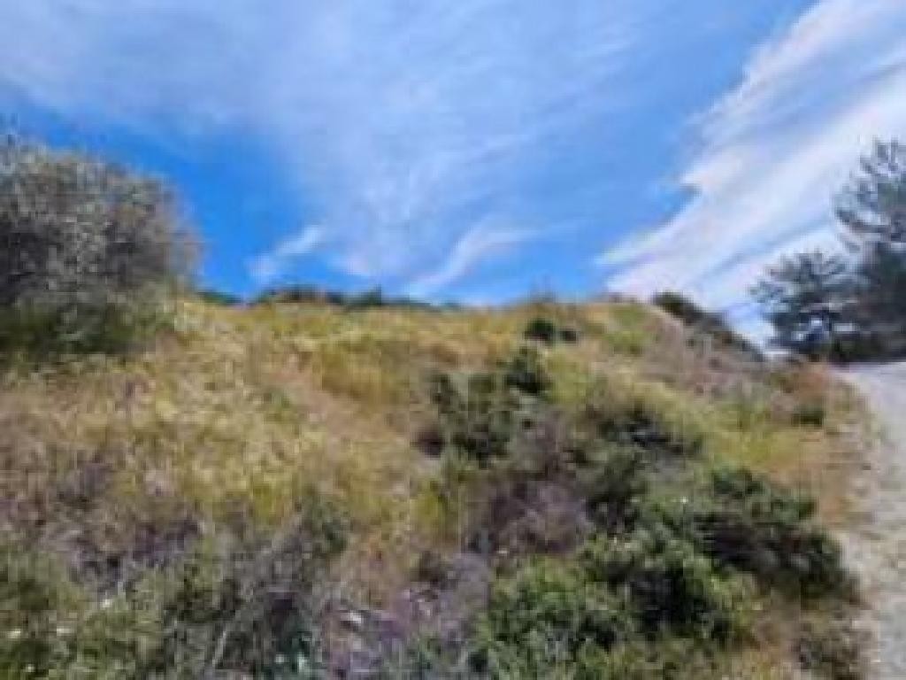 Field - Pelendri, Limassol