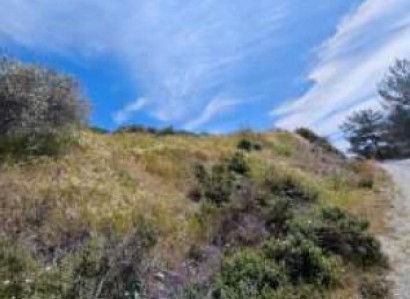 Pelendri, Limassol Agricultural Field For Sale | WW31191